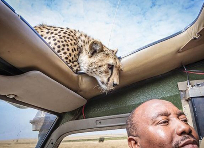 前方危險(xiǎn)！請(qǐng)注意安全！